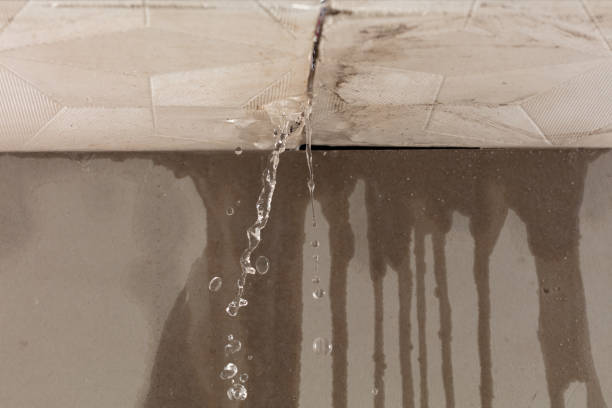 Professional Water Damage Inspection technician working in Sacramento, CA